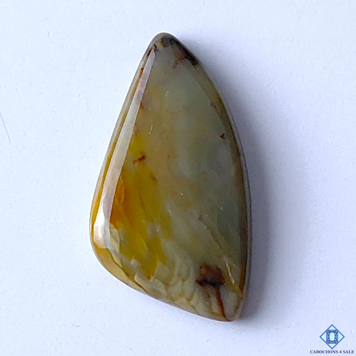 Polychrome Jasper