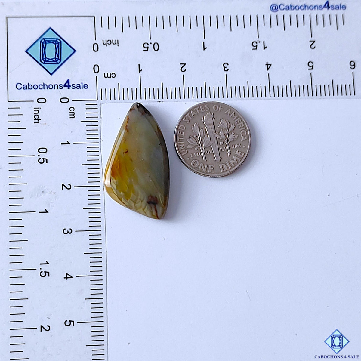 Polychrome Jasper