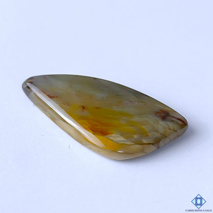 Polychrome Jasper