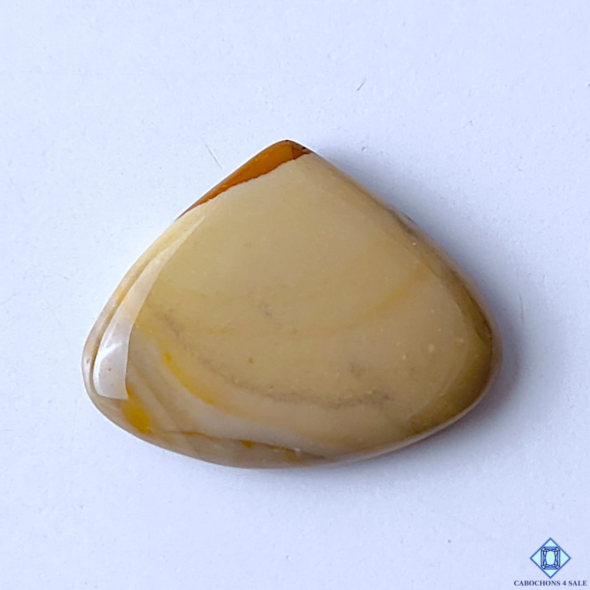 Polychrome Jasper
