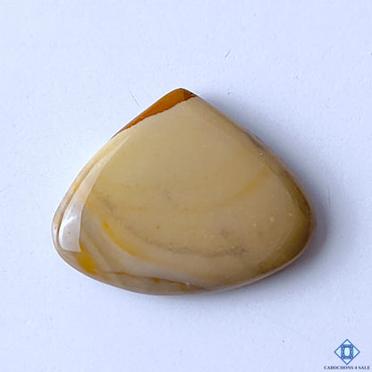 Polychrome Jasper