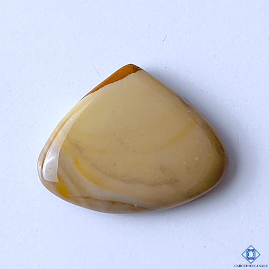 Polychrome Jasper