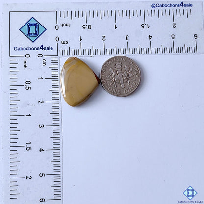 Polychrome Jasper