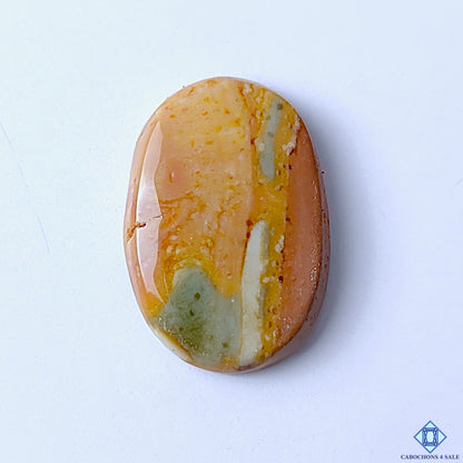 Polychrome Jasper