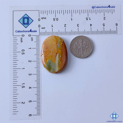 Polychrome Jasper