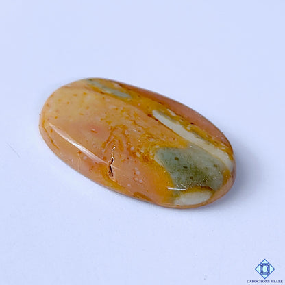 Polychrome Jasper