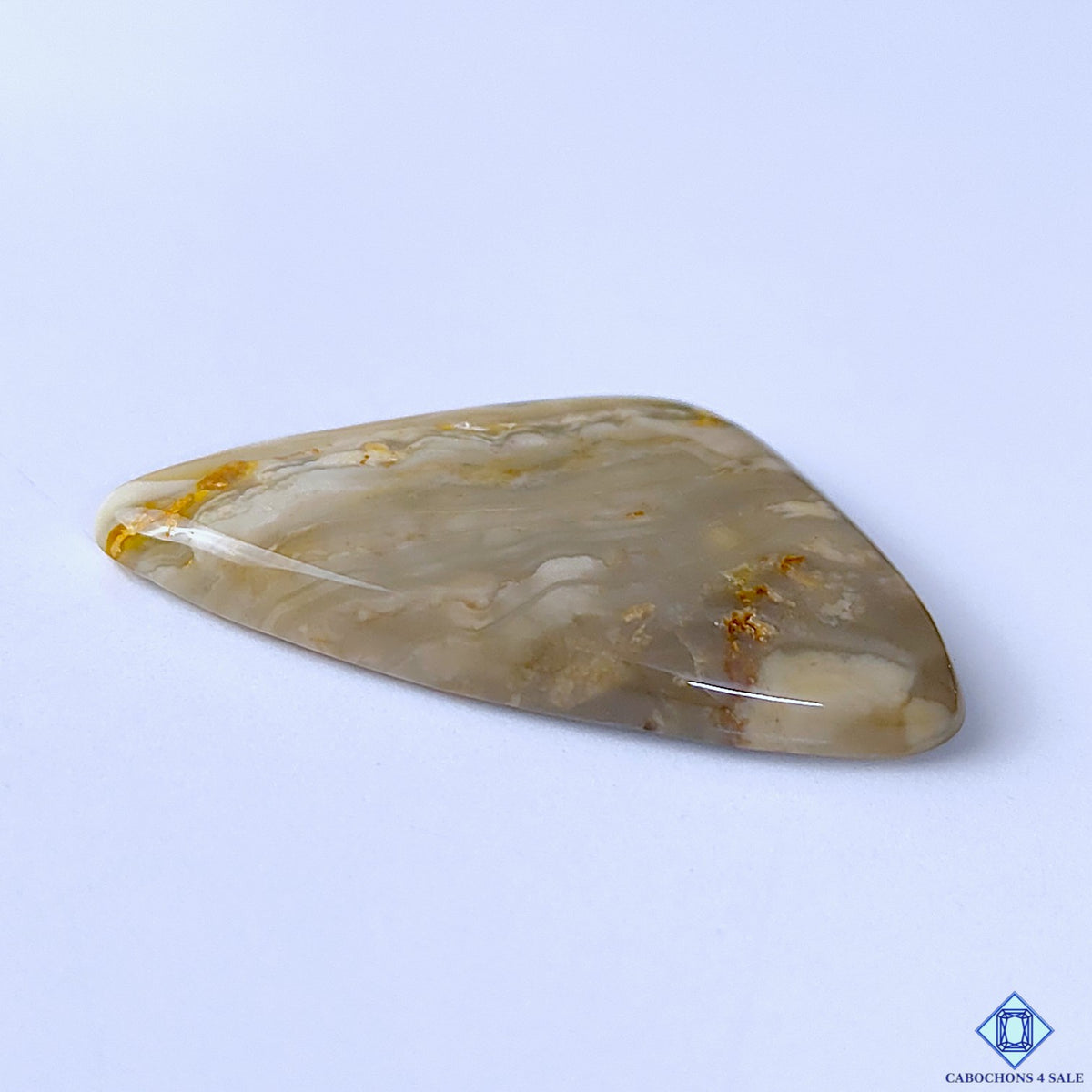 Polychrome Jasper