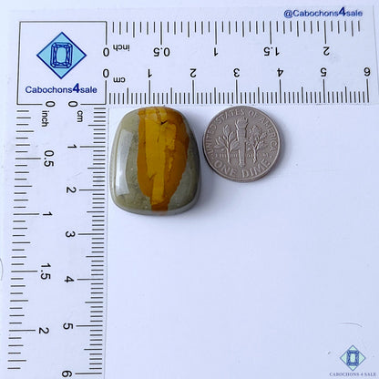 Polychrome Jasper