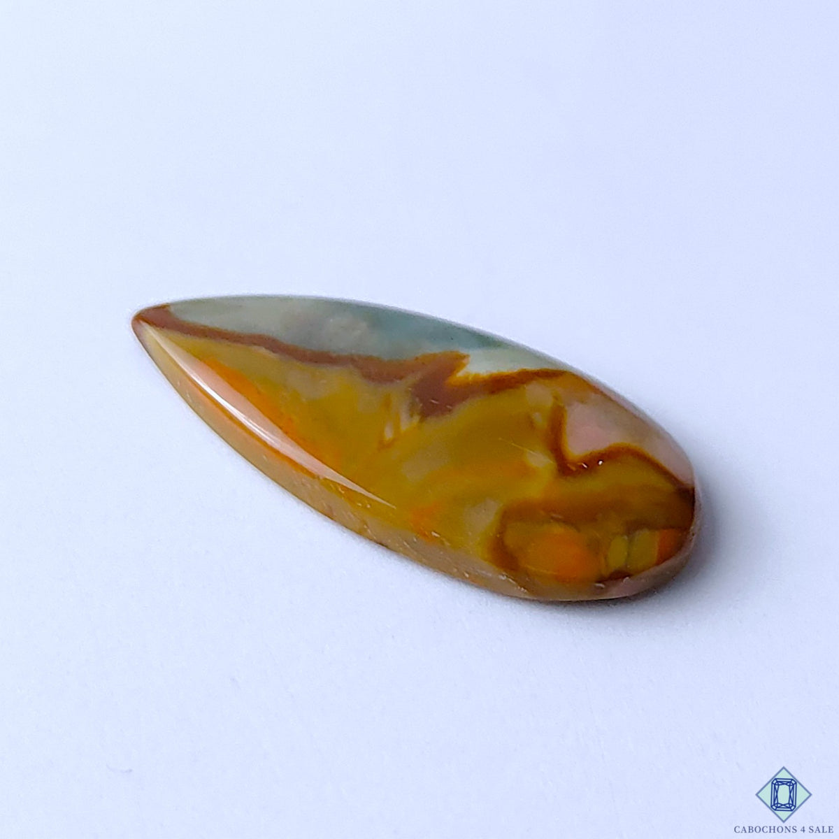 Polychrome Jasper