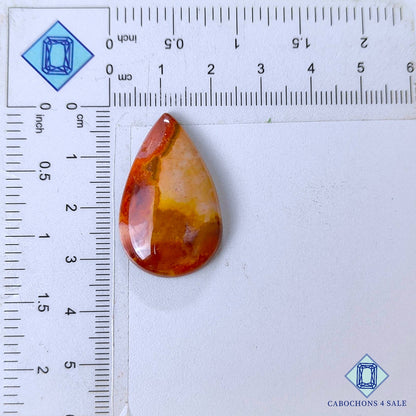 Natural Polychrome Jasper Gemstone  Pear Cabochons 32*20*6mm from Madagascar available for sale
