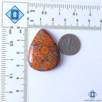 Poppy Jasper