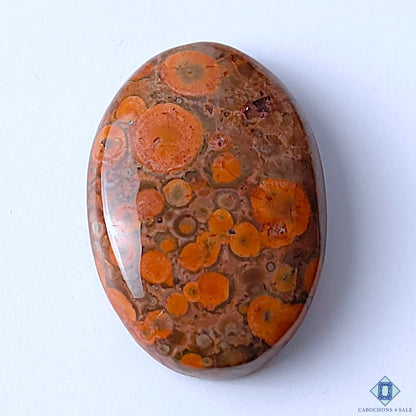 Poppy Jasper