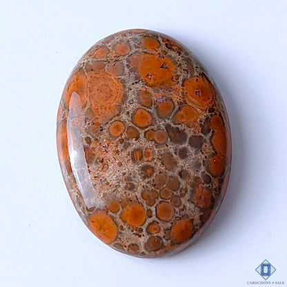 Poppy Jasper