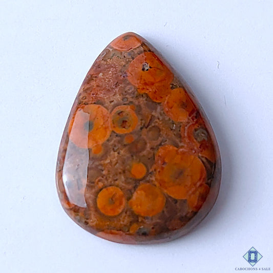 Poppy Jasper