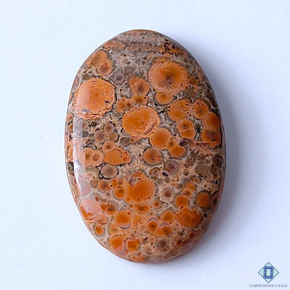 Poppy Jasper
