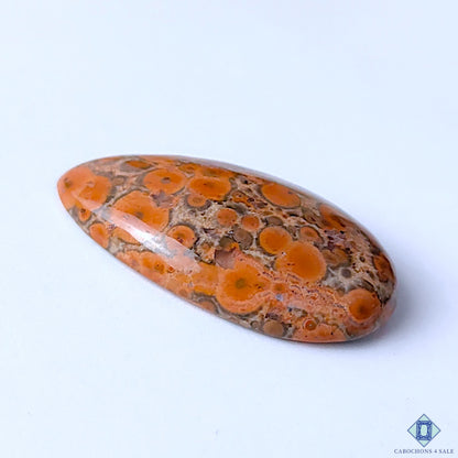 Poppy Jasper