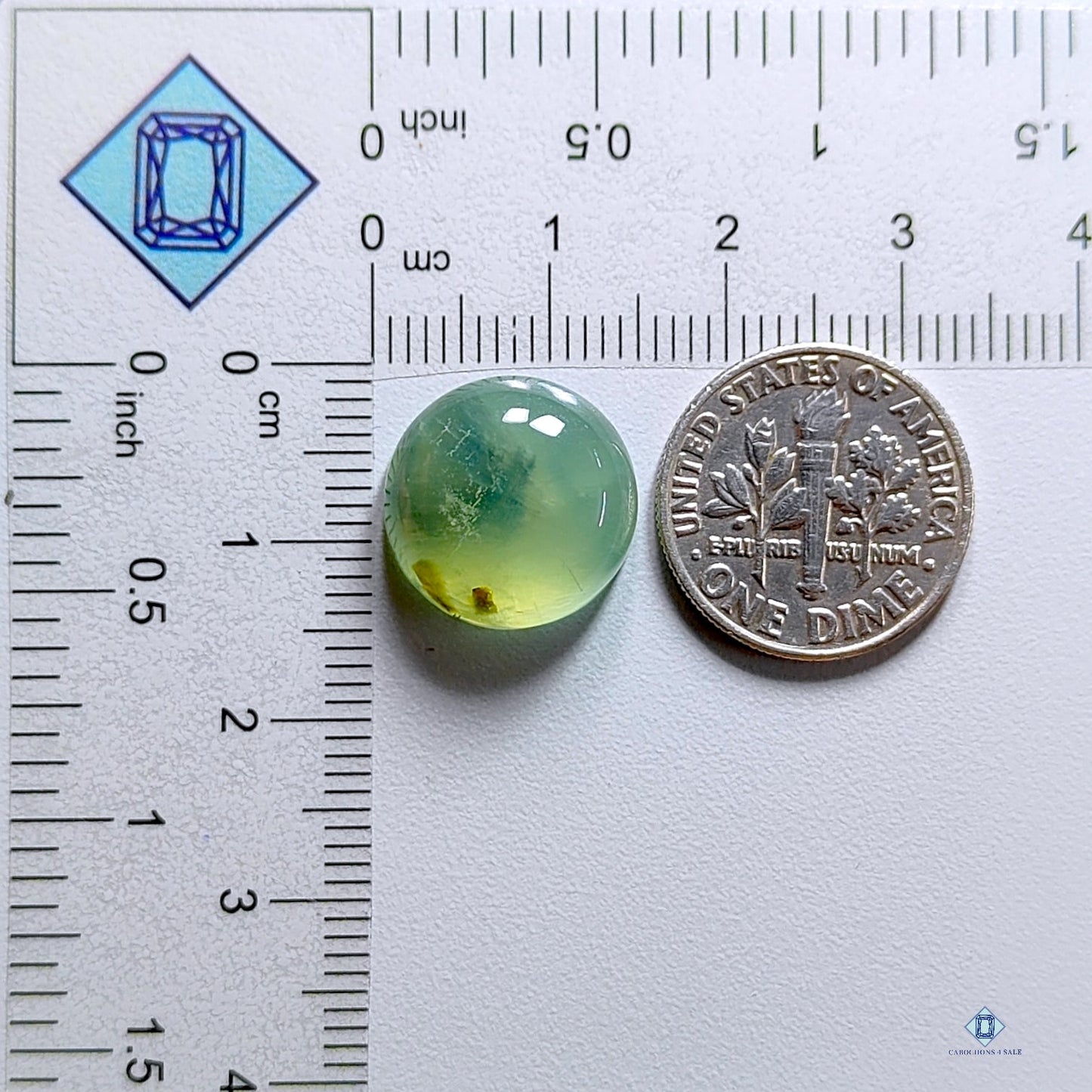 Prehnite Round Cabochons