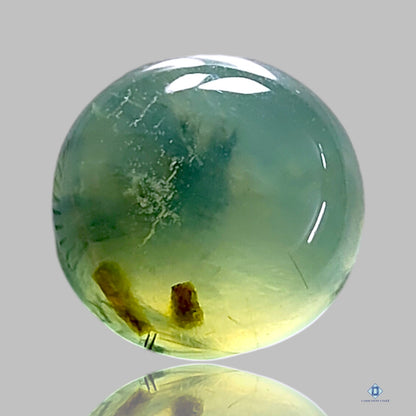 Prehnite Round Cabochons