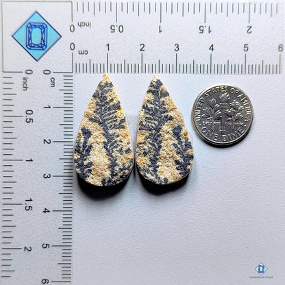 Psilomelan Dendritic agate Pear Pairs