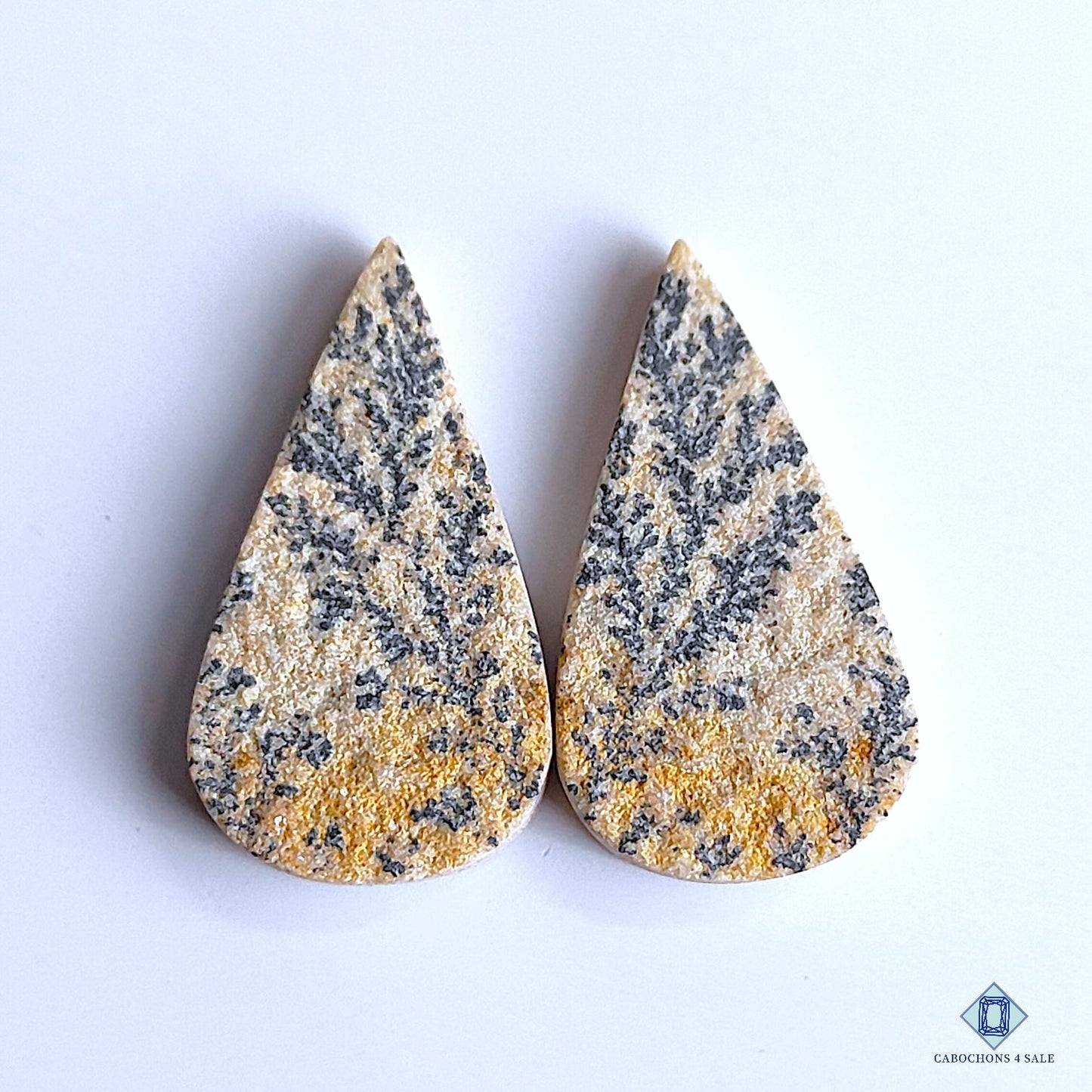 Psilomelane Dendrite