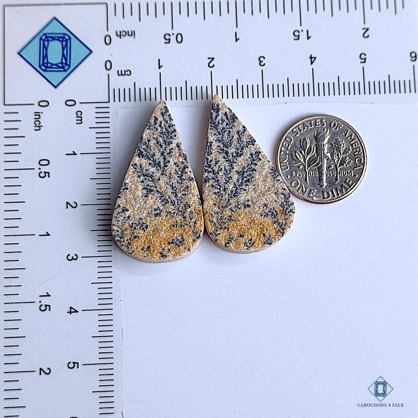 Psilomelane Dendrite