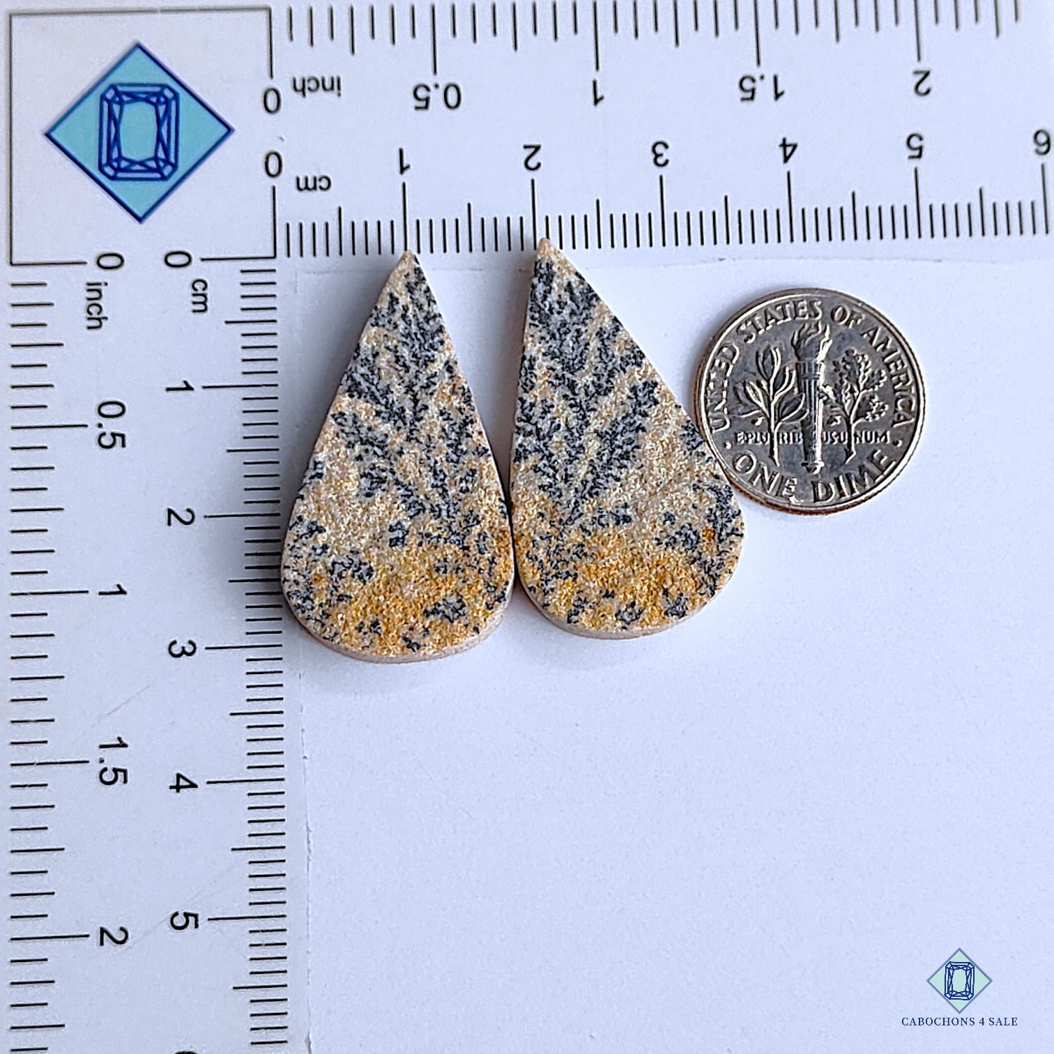 Psilomelane Dendrite