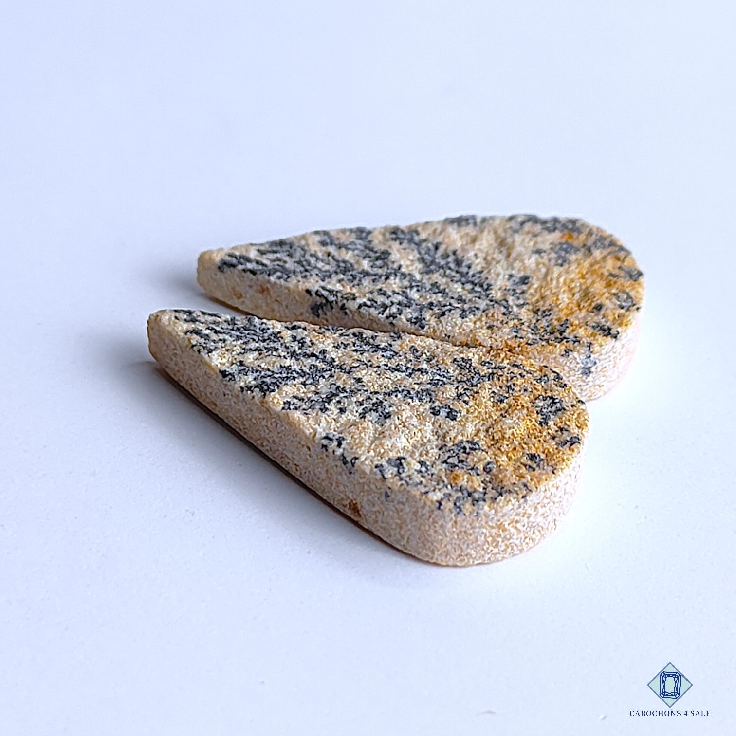 Psilomelane Dendrite