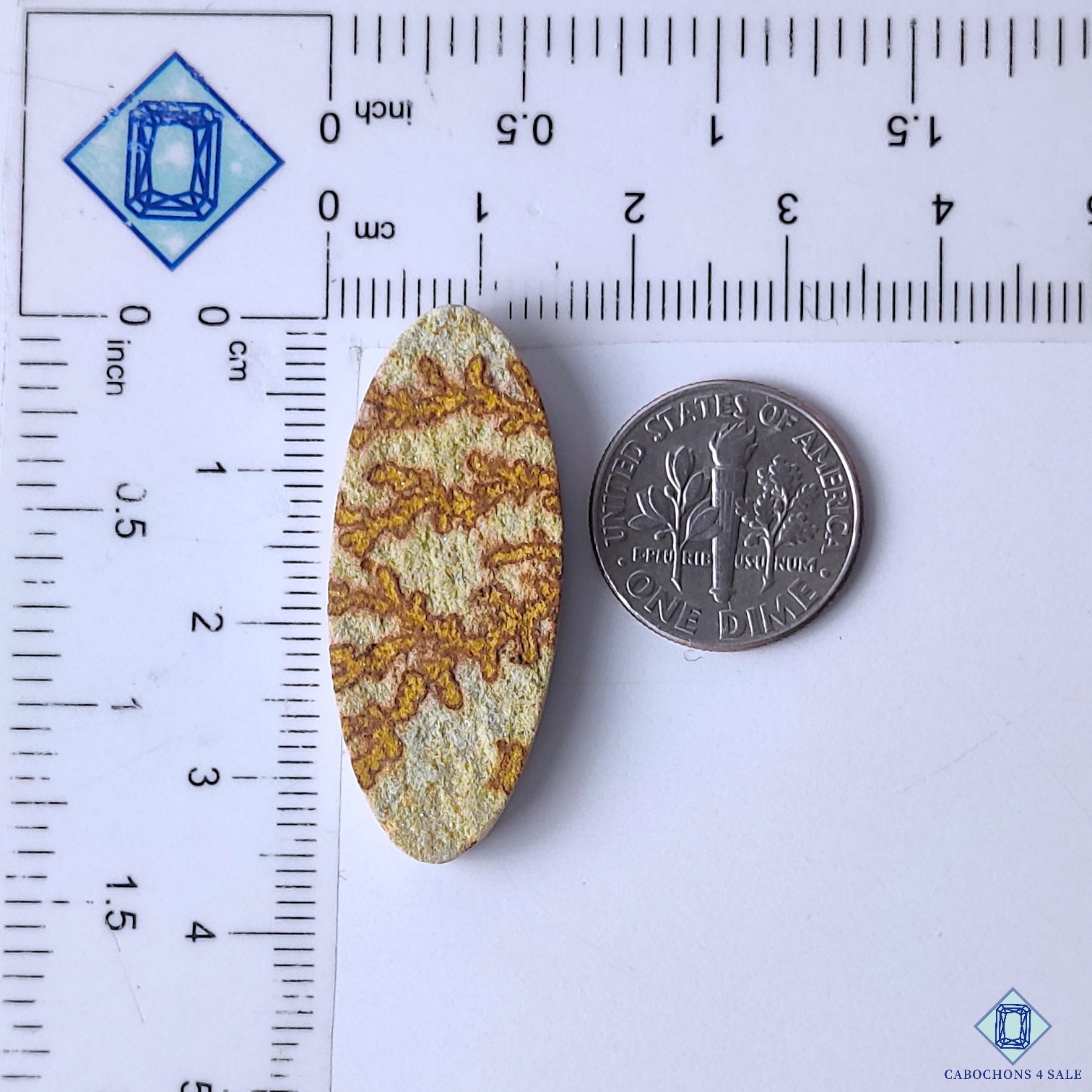 Psilomelane Dendritic Agate