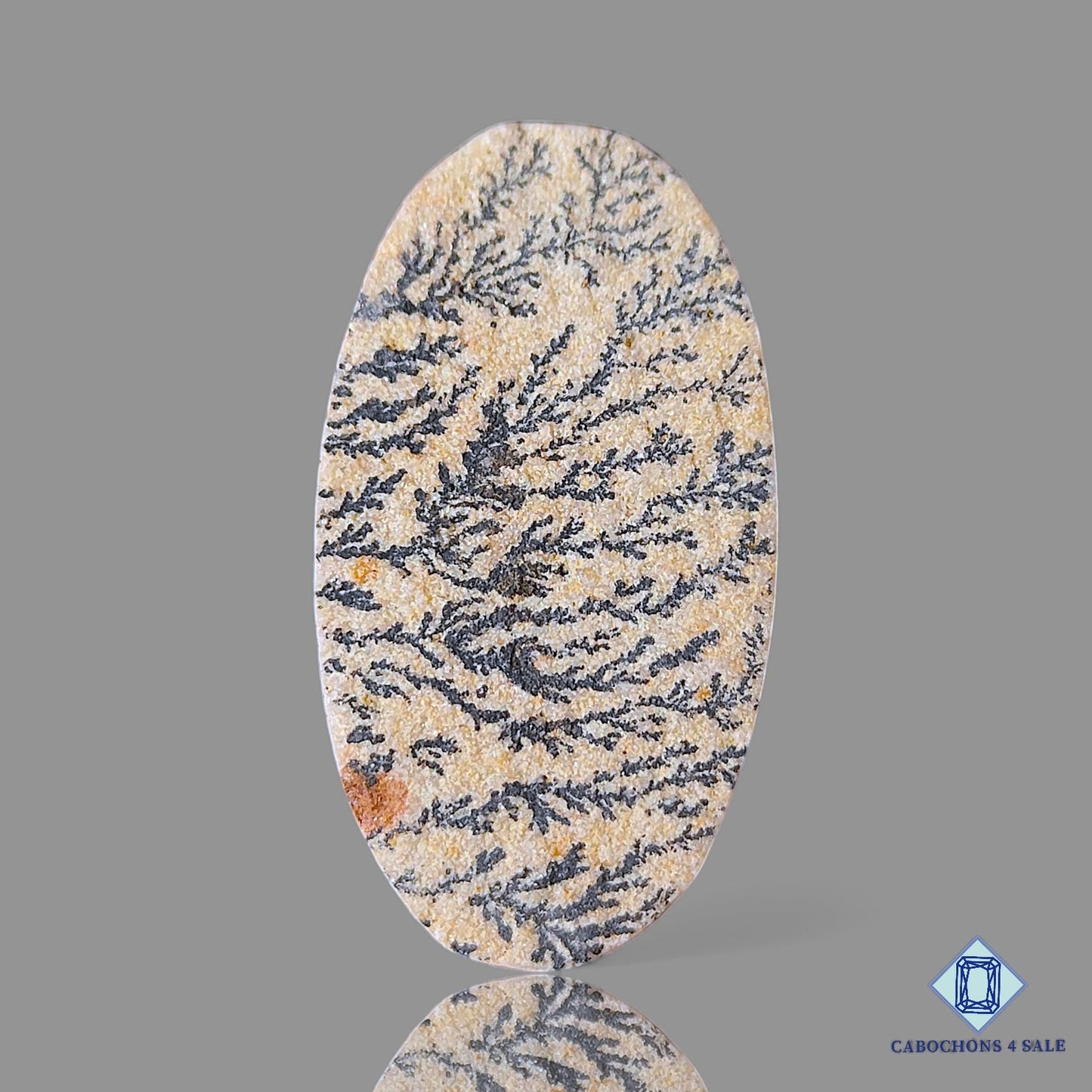 Psilomelane Dendritic Agate