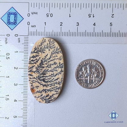 Natural Psilomelane Dendritic Agate Gemstone  Oval Druzy 39*21*5mm from Brazil available for sale
