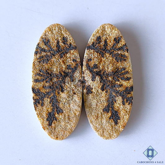 Psilomelone Dendrite Druzy