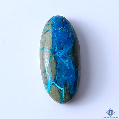 Cabochons4sale oval Quantum Quattro cabochon gemstone featuring vibrant blue and earthy green natural patterns.