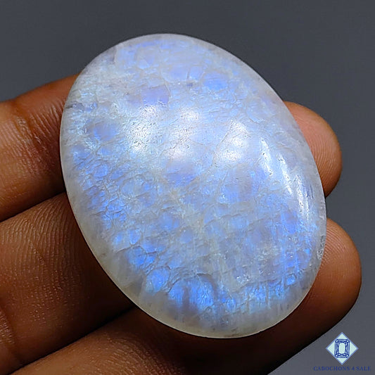 Rainbow Moonstone