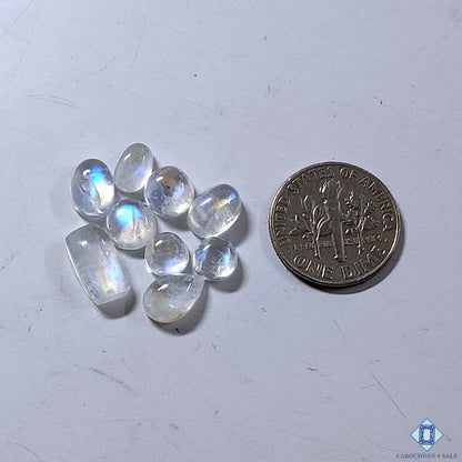 Rainbow Moonstone