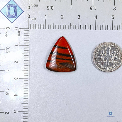 Red Jasper Triangle Cabochons