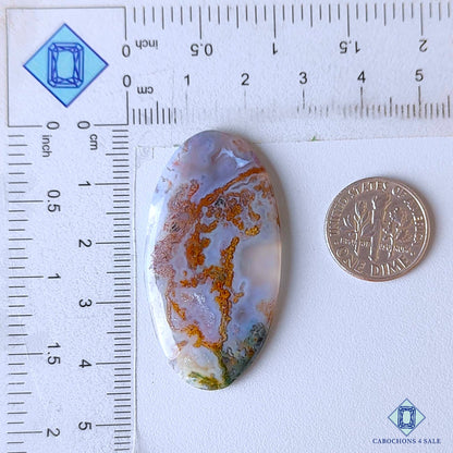 Red Moss Agate