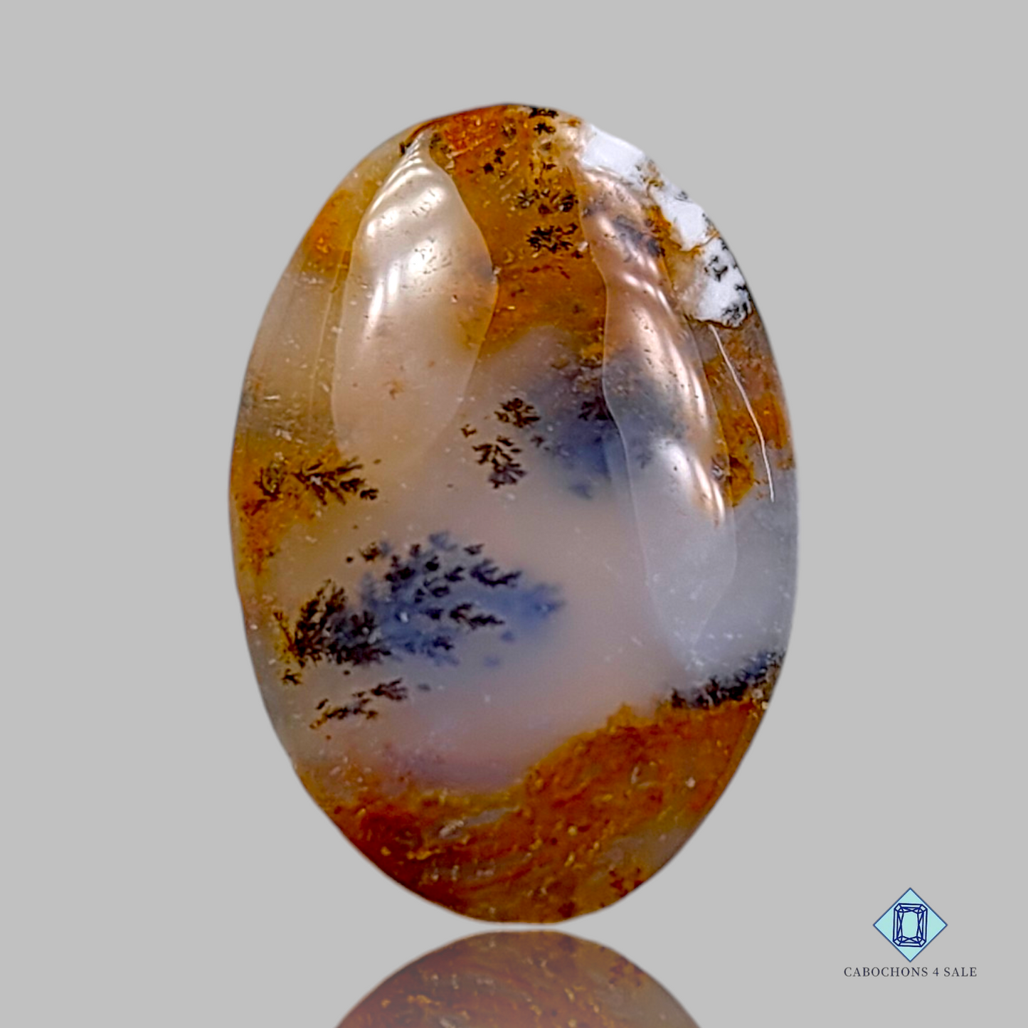 Russian Dendritic Agate