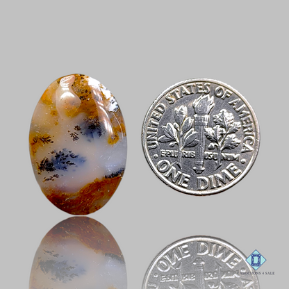 Russian Dendritic Agate