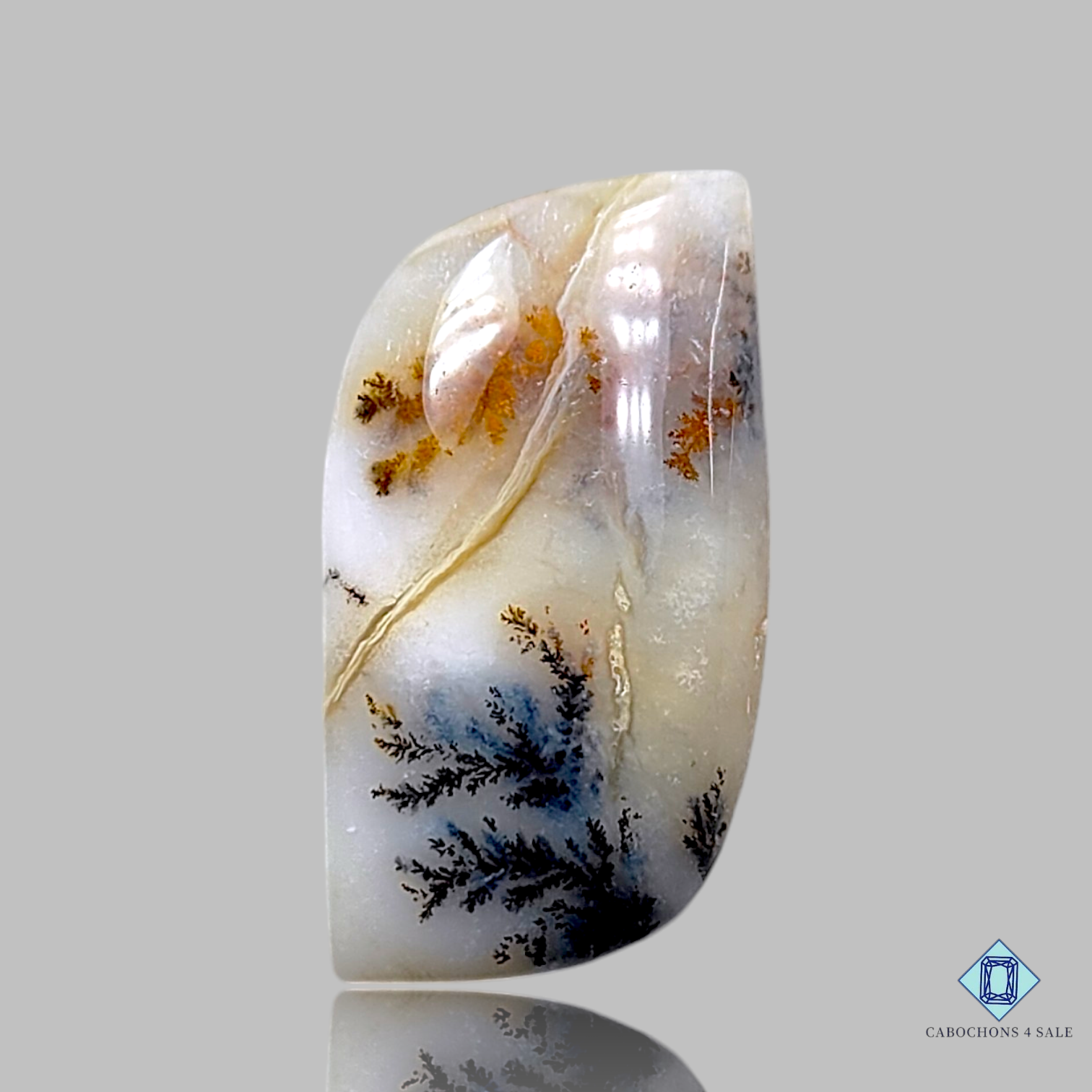 Russian Dendritic Agate