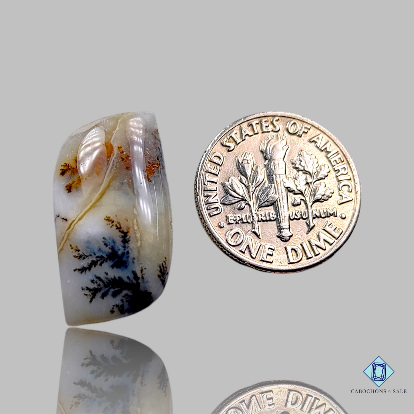 Russian Dendritic Agate