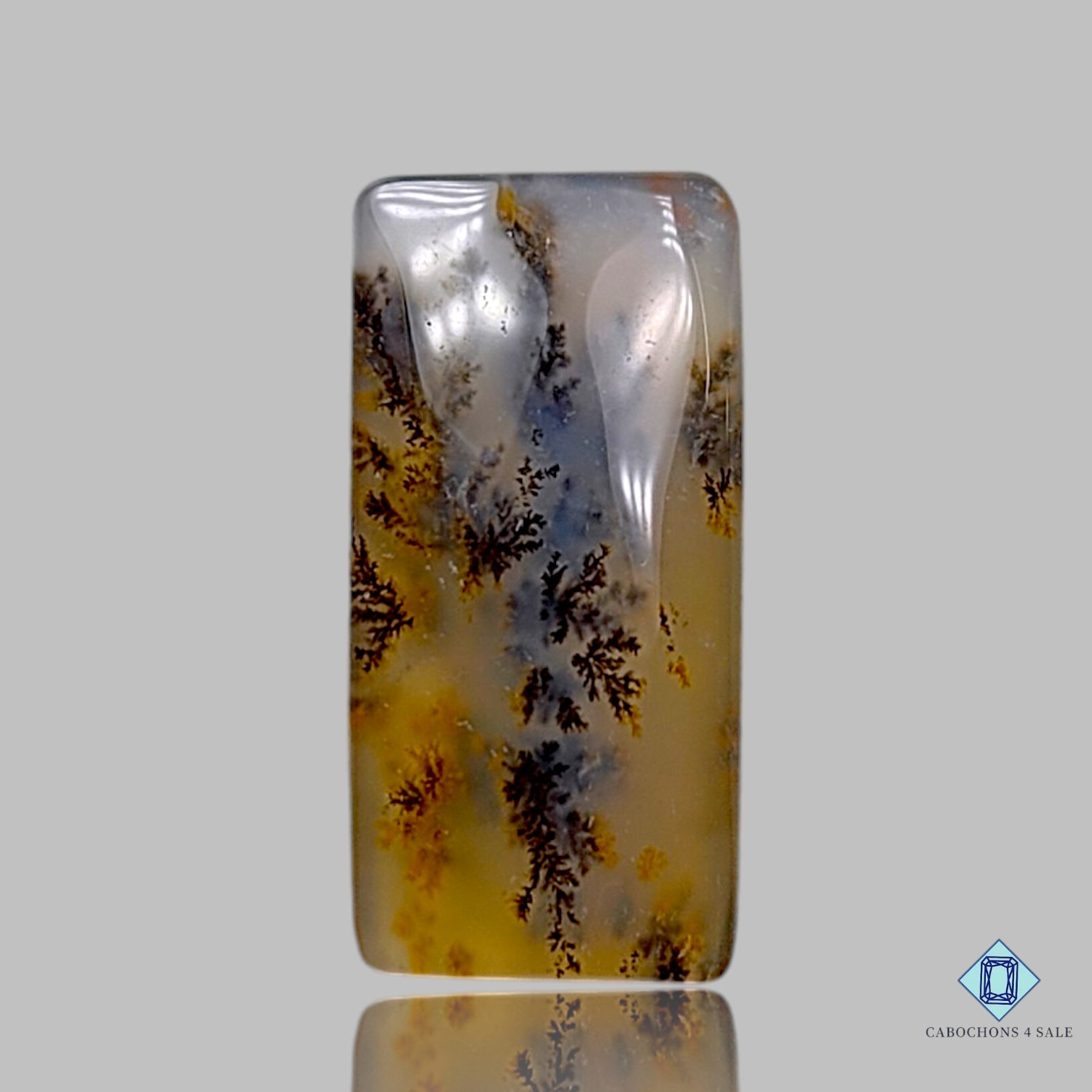 Russian Dendritic Agate