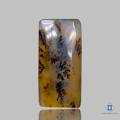 Russian Dendritic Agate