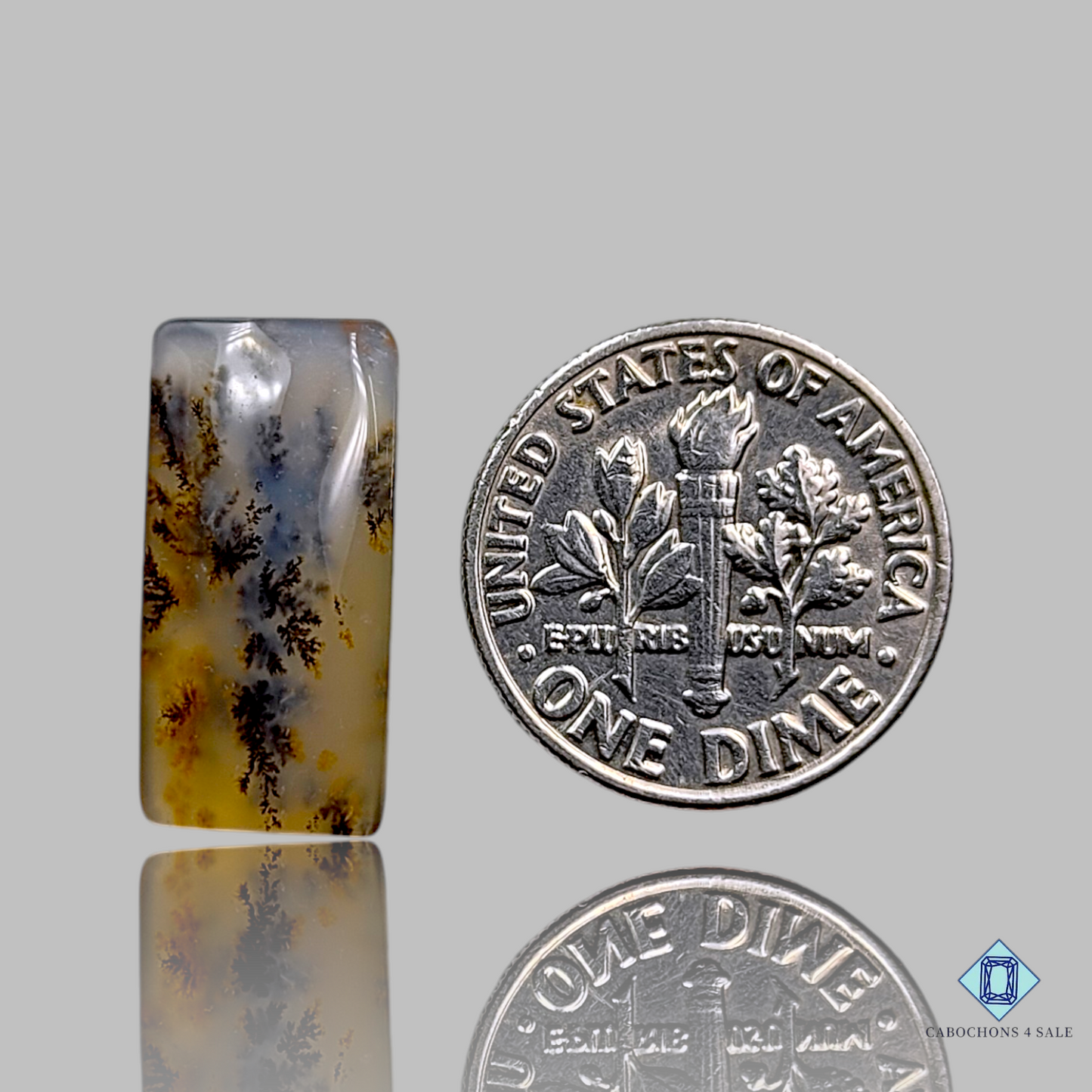 Russian Dendritic Agate