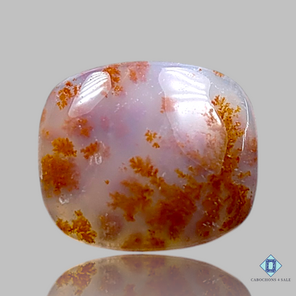 Russian Dendritic Agate