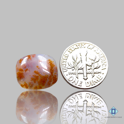 Russian Dendritic Agate