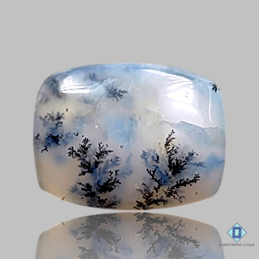 Russian Dendritic Agate