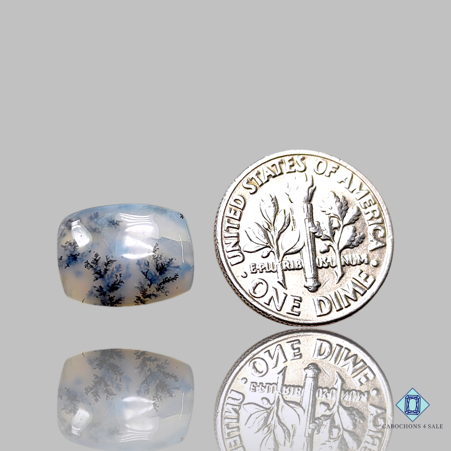 Russian Dendritic Agate