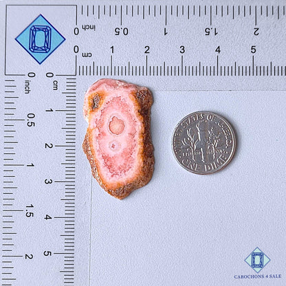 Piedra preciosa natural de rodocrosita drusa de lujo de 34 x 19 x 3 mm procedente de Argentina, disponible para la venta.