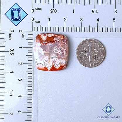 Natural Rosita Jasper Gemstone  Rectangle Cabochons 23*21*6mm from Mexico available for sale