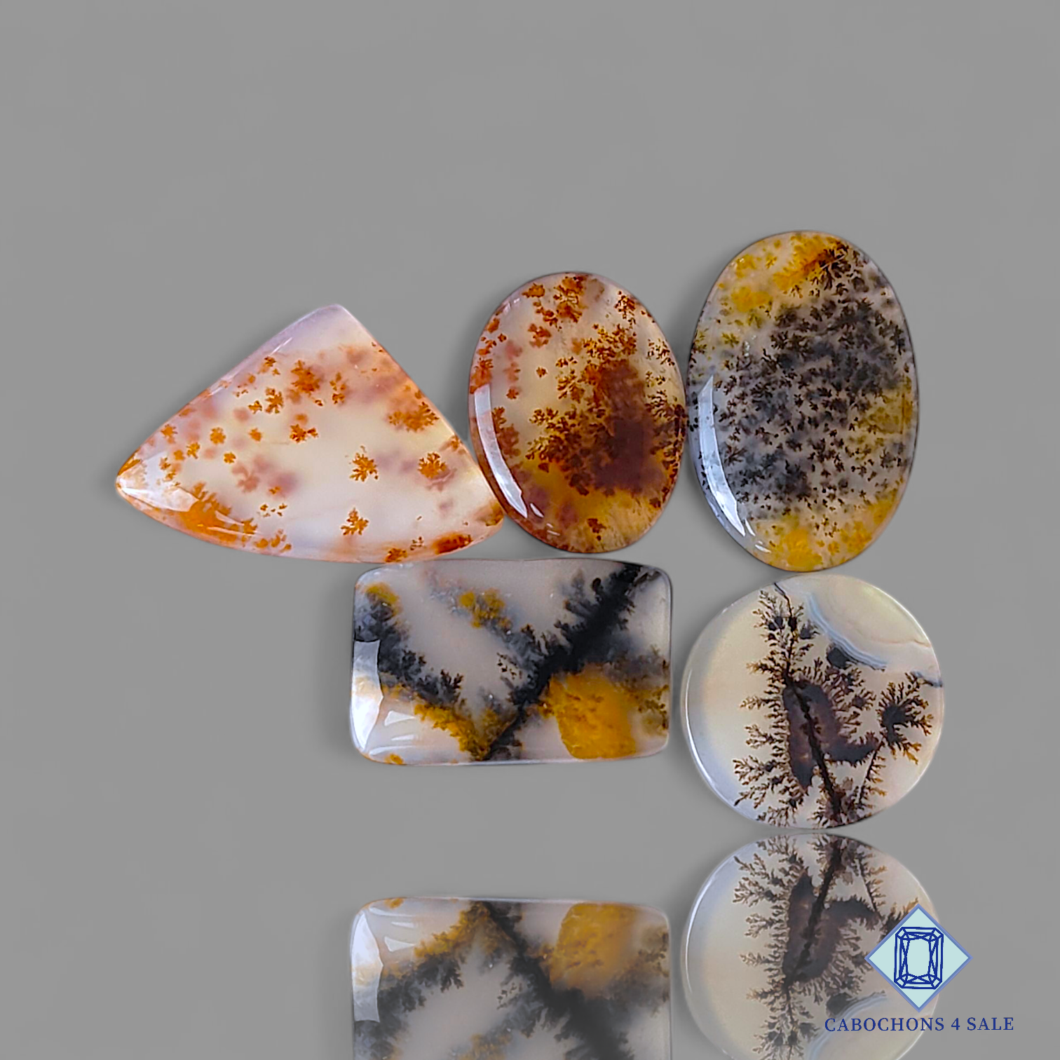 Russian Dendritic Agate